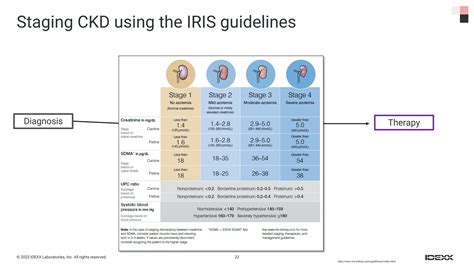 Iris Kidney Staging