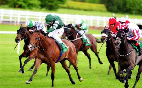 irish horse racing tips