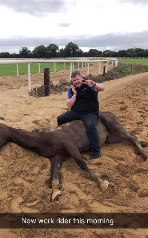 irish horse trainer dead horse photo
