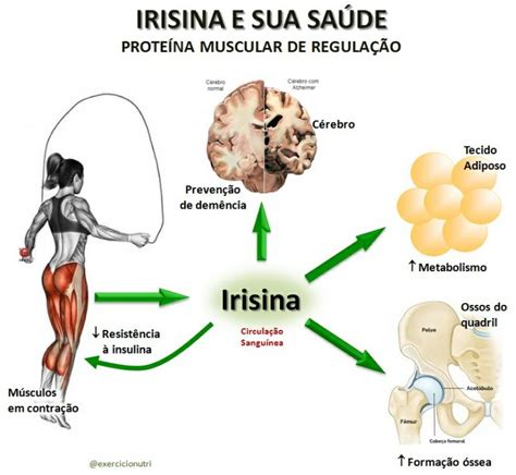 irisina - odontopediatria