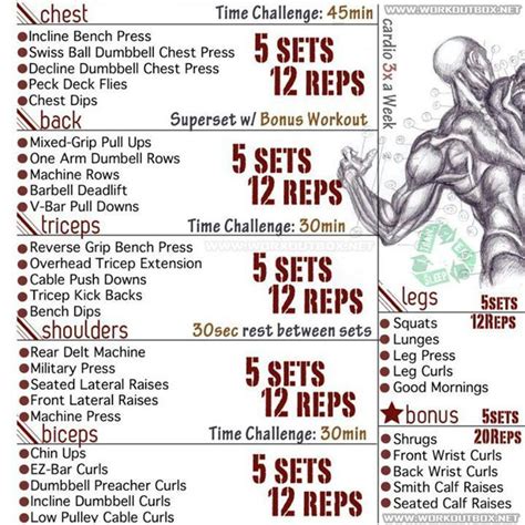Read Online Iron Gym Get Ripped Quick Workout Guide 