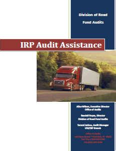 Read Online Irp Audit Assistance Drive 