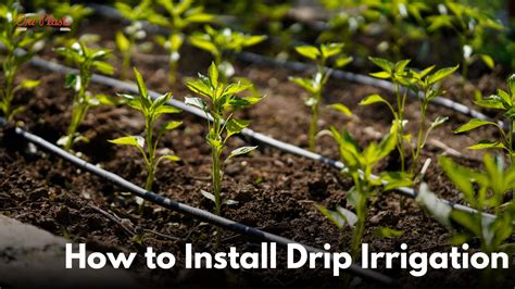 Irrigation System Installation And Maintenance