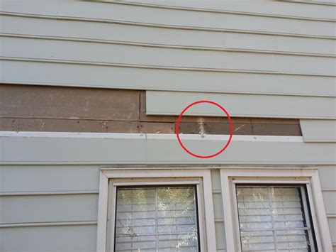 Is There An Exterior Sheetrock?
