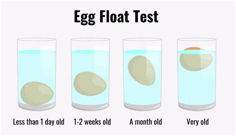 is an egg that floats bad
