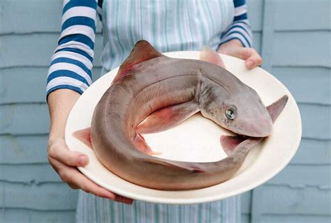 is dogfish safe to eat