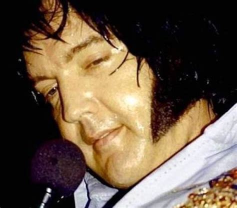 Is Elvis Alive