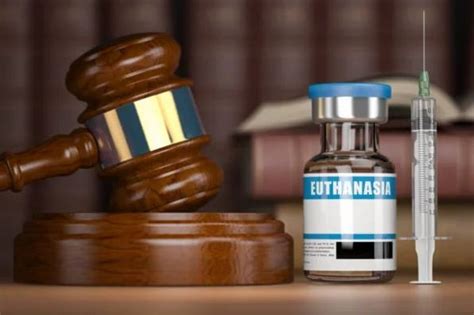 Is Euthanasia Ethical Opposing Viewpoint Series