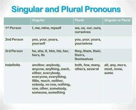 is everyone a singular or plural pronoun