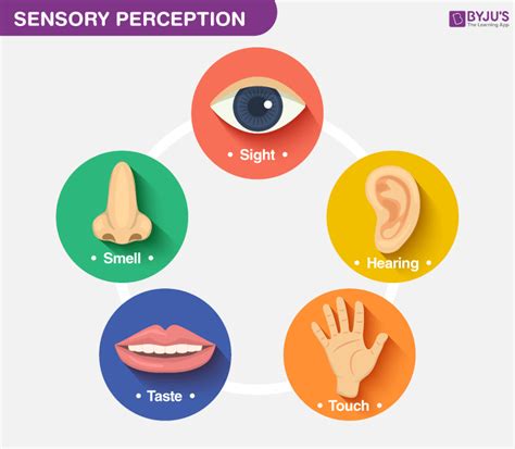 Is Extrasensory Good