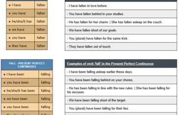 is fell a preposition