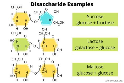 Is Fructose A Disaccharide