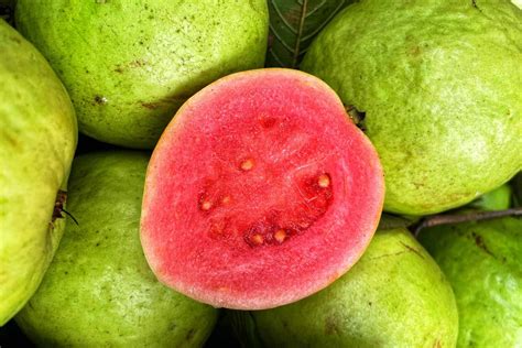 is guava high in protein