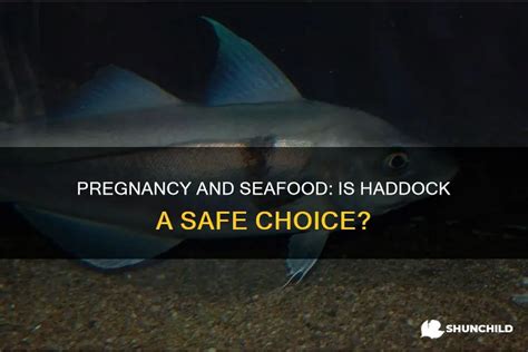 is haddock safe to eat when pregnant