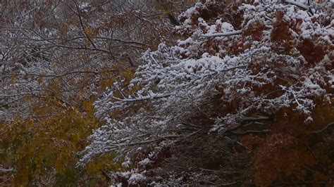 is it going to snow again tonight