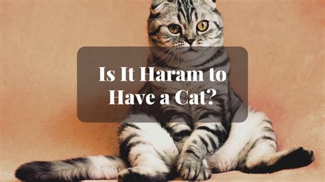 is it haram to have a pet cat
