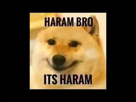 is it haram to kiss a cat