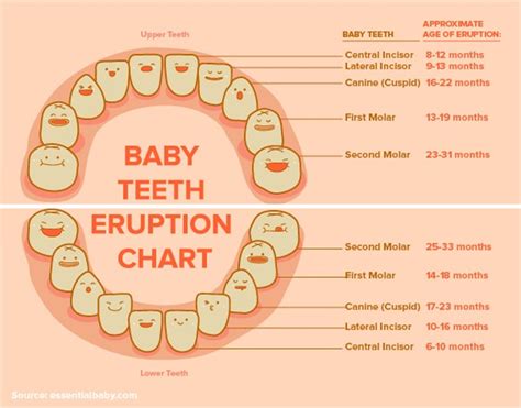 is kissing good for your teeth chart kids