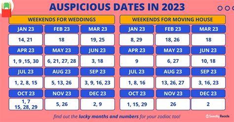 is november 1 is aupicious date for new helper woman