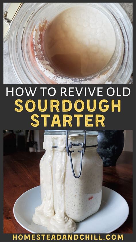 Is Old Sourdough Starter Bad Many Bakeries Use Science Of Sourdough Starter - Science Of Sourdough Starter