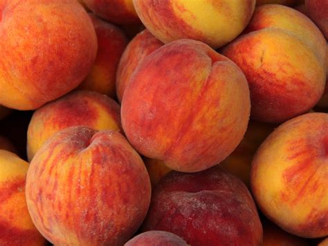 is peach a summer fruit