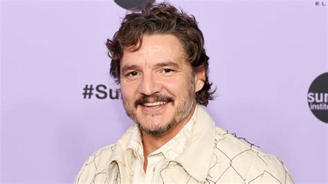 is pedro pascal.gay