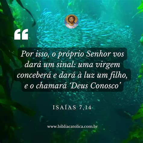 Isaias 7 14