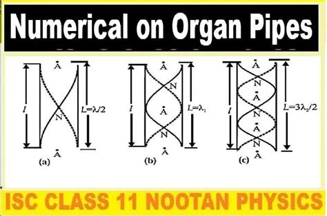 Isc Nootan Numerical