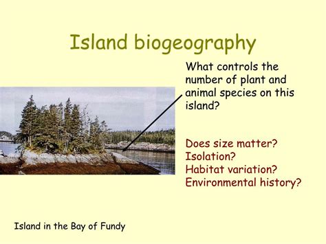 island biogeography ppt