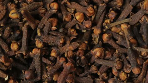 Island Of Cloves
