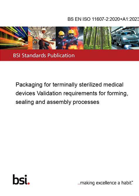Iso 11607 2