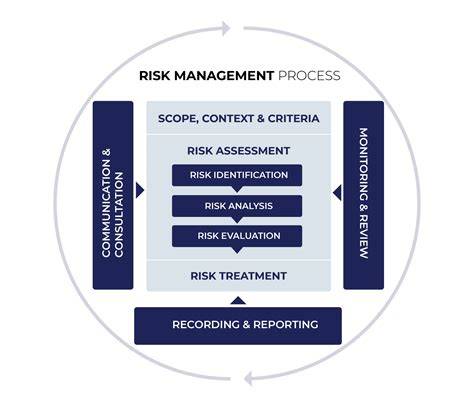 iso 31000 management rizik