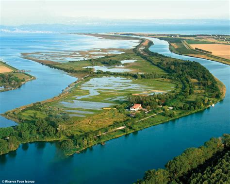 Isola Della Cona