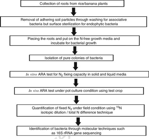 Isolation Screening And Identification Of Fungal
