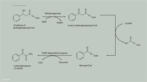 Download Isolation Analysis And Synthesis Of Ephedrine And Its 