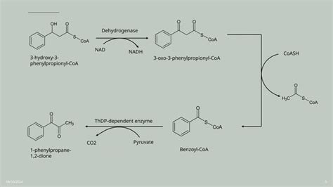 Download Isolation Analysis And Synthesis Of Ephedrine And Its 