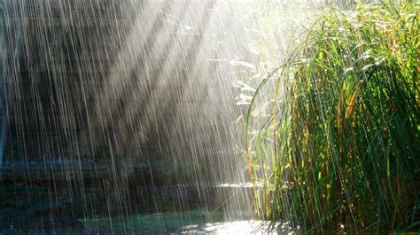 It Will Rain