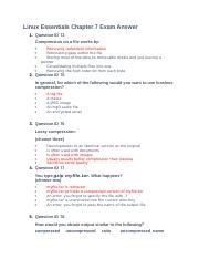 Full Download It Essentials Chapter 7 Exam Vision 5 Questions And Answers 