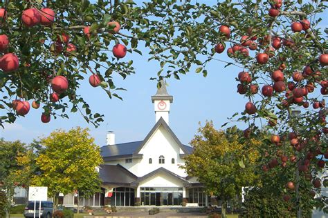 itayanagi chat sites