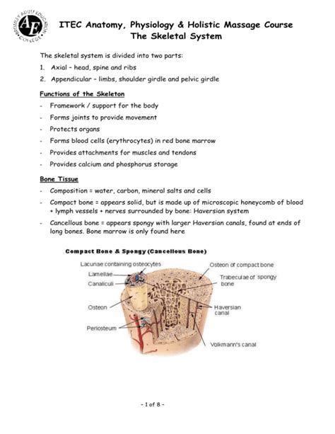 itec anatomy and physiology multiple choice questions