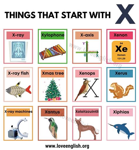  Items That Start With X - Items That Start With X