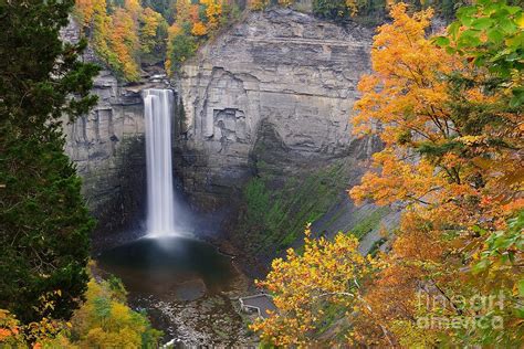 Ithaca Is Gorges