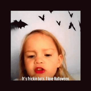 Its frickin bats i love halloween gif