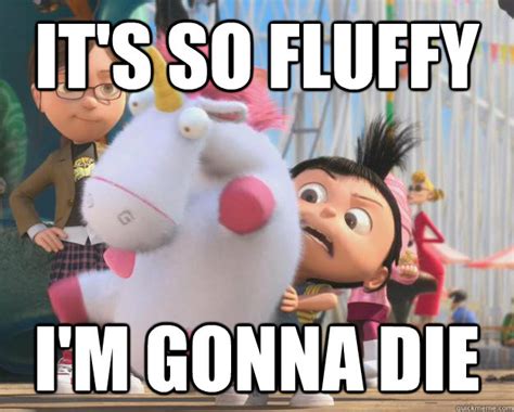 its so fluffy im gonna die