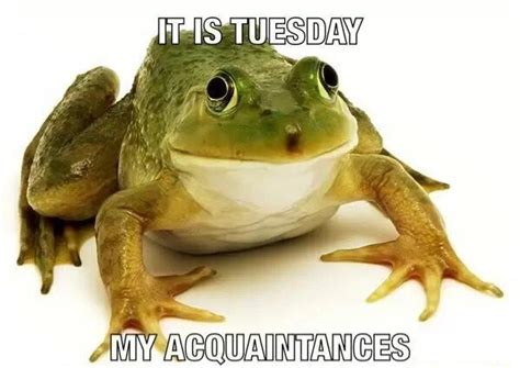 Its Tuesday My Dudes