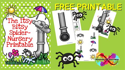 Itsy And Bitsy Spiders