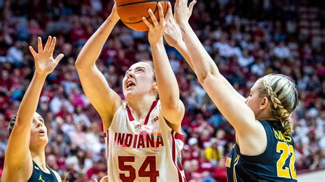 iu michigan
