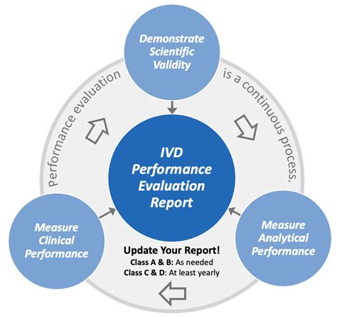 Ivdr Performance Evaluation Report Template