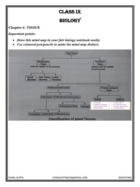 Read Ix Biology Chapter Notes 