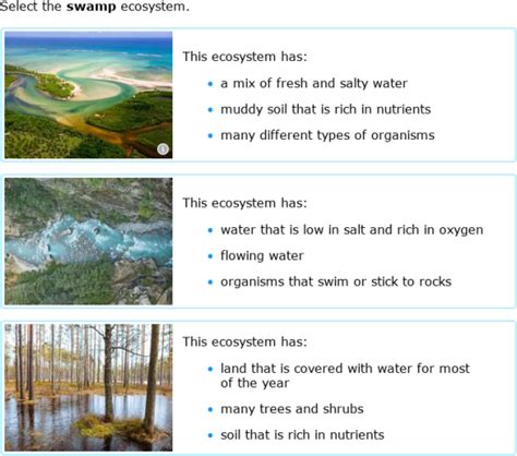 Ixl Identify Ecosystems 5th Grade Science 5th Grade Science Ecosystem - 5th Grade Science Ecosystem